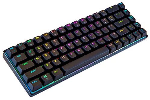 Portable RGB Gaming Mechanical Keyboard USB Type C 68 Keys Anti-ghosting 60% RGB Mechanical Keyboard for PC Laptop(Blue Red Brown Switch) (Blue Switch)