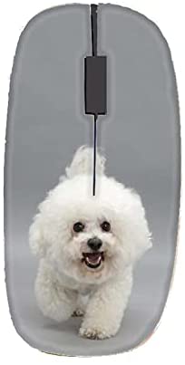 Printing Bichon Frise Compatible for USB Wireless Mouse Man Abs Apparent