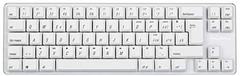 Qisan Mechanical Gaming Keyboard PBT Keycps Gateron Red Switch Mini 69 Keys(60%) Wired Keyboard with White Backlit IT Layout Gaming Keyboard-White