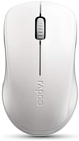 RAPOO Wireless Mouse, Soundless Ergonomic Design, Long Range and Battery Life, Suitable for Computers Laptops, All-Day Comfort-White