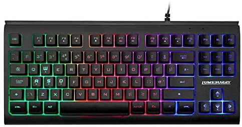 Rainbow LED Backlit 87 Keys Gaming Keyboard, Compact Keyboard with 12 Multimedia Shortcut Keys USB Wired Keyboard for PC Gamers Office