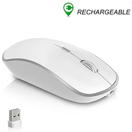 Rechargeable Wireless Mouse for Laptop, JOYACCESS Silent Portable Cordless Mouse for Laptop with USB Nano Receiver and High Precision 2400 DPI-Silver+White