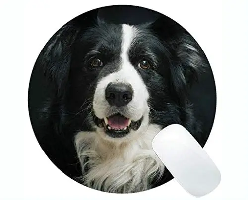 Round Mouse Pads,Border Collie Dog Portrait Cute Canine Looking Gaming Mouse pad