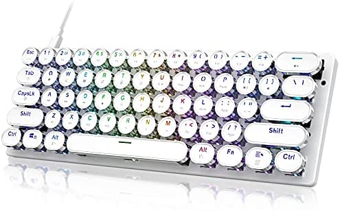 STOGA 60% Mechanical Keyboard, Gaming Keyboard for PC, Wired Mini White keyboaed Compact RGB LED Backlit, Retro Computer Keyboard Typewriter Style Round Keycap for PC Gamer/Office, 61 Keys