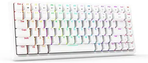 Smart Duck XS-84 75% TKL Wired Mechanical Gaming Keyboard,RGB Music Rhythm LED Backlit N-Key Rollover, Black Switch （White）