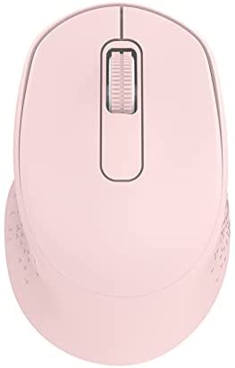 TGSHOCK Wireless Mouse for Laptop,Silent Mouse 2.4G Computer Mouse with USB,Comfortable Laptop Mouse USB Cordless Mouse for Kids, Chromebook, MacBook, PC-Pink
