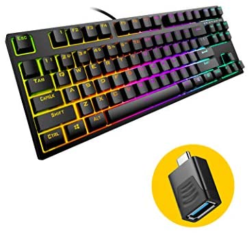 TKL Mechanical Keyboard, hiwings Compact Gaming Keyboard RGB Rainbow Backlit 80% 87 Keys Wired Keyboard with Blue Switches for Windows, Mac with Type C Adapter (Extra OTG)