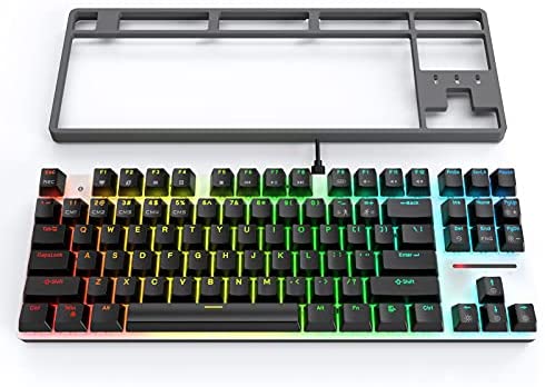 TKL Mechanical Keyboard with Hot-Swappable Blue Switch/RGB LED Backlit/USB C/Anti Ghosting/N-Key Rollover/Compact Layout 87 Key Wired Gaming Keyboard for Mac Windows