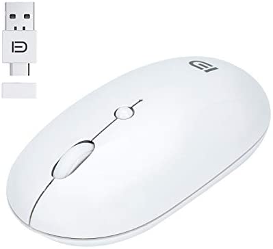 Type C Wireless Mouse, Dual Mode 2.4G Rechargeable Slim Computer Mouse with Nano USB and Type C Receiver for PC Laptop, MacBook pro, MacBook air, iMac and More, White