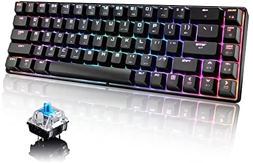 Wired 60% Mechanical Gaming Keyboard, RGB Lights Compact 68 Key Mini Keyboard with Type C Charger and Blue Switch, for Mac Windows PC PS4 Gamer(Black)