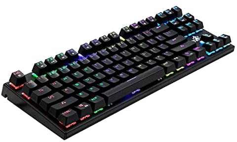 YEYIAN SPARK Mechanical Gaming Keyboard, 87 TKL RGB LED Backlit 16M Color Keys, OUTEMU Blue Hot-Swappable Switches, Cherry MX Equivalent, 13 Modes, 50M Keystrokes, Steel Frame Braided Cable Tenkeyless