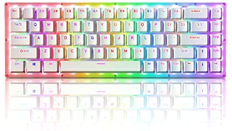 Womier K68 Hot Swappable Keyboard, Wired 65% Mechanical Keyboard, RGB Backlit Ultra-Compact Layout 68 Keys Gaming Keyboard, with Stand-Alone Arrow/Control Keys (Red Switch)
