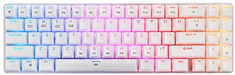 60% Compact RGB Wireless Mechanical Gaming Keyboard, Brown Switches, Bluetooth 5.0, Wired Keyboard 71 Keys for PC Tablet Laptop Cell Phone, White