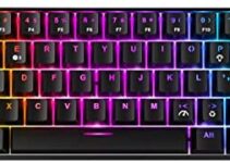 Fiodio 61 Keys RGB Wireless and Wired Mechanical Gaming Keyboard with Blue Switches, Audible Click Sound Rainbow Portable Compact Mini Office Keyboard for Windows PC Gaming, (F-SG61)