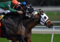 How Technology has Shaped Horse Racing