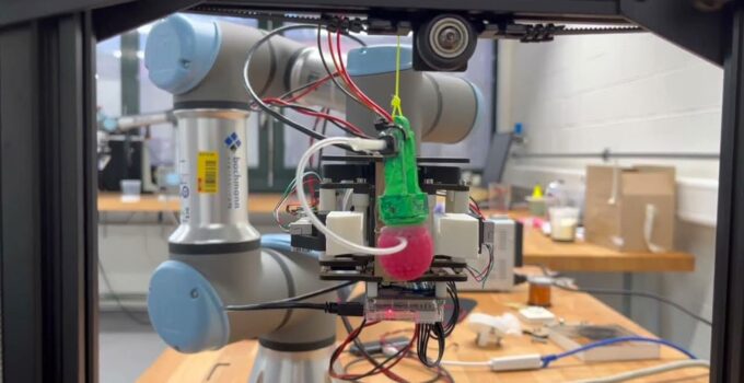 Silicone raspberry to tech harvesting robots to grasp fruit