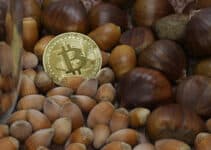 US Fintech Firm Acorns Adds Crypto Exposure Investing via Proshares Bitcoin ETF
