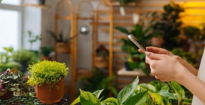 A Beginner’s Guide to Using Apps and Gadgets for Growing Healthier Plants
