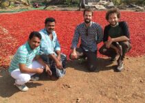 Solar technology and community engagement team up to help low-income farmers in India