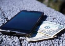Senator Warns of ‘Digital-Only’ Fintech Companies Posing as Banks, People’s Money ‘At Risk’