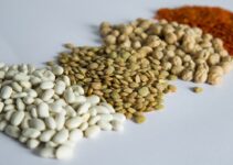 Beyond pea and soy: Asia’s foodtech space awash with novel plant-based proteins – experts