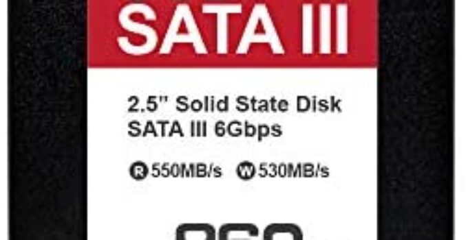 SEKC 960GB SSD SATA III 6 Gb/s, Up to 550/530 MB/s Read/Write Speed, Internal 2.5″ 7mm (SS310960G)