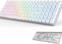 Wireless Mechanical Keyboard RK100 Pro, RK ROYAL KLUDGE 2.4G Bluetooth Wired Mechanical Gaming Keyboard 100 Keys CNC Frame, RGB Hot Swappable Keyboard for Windows Mac w/Software, Gateron Red Switch