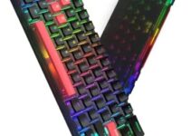 60% Percent Keyboard – Womier WK61 Keyboard, Hot-Swappable Ultra-Compact RGB Gaming Keyboard w/Pudding Keycaps, Linear Red Switch, Pro Driver/Software Supported – Phantom Black