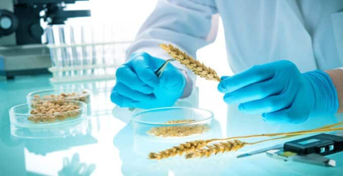 Call for review of genetically modified tech regulation in NZ