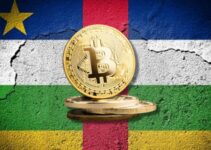 👨🏿‍🚀TechCabal Daily – The first African country to adopt bitcoin