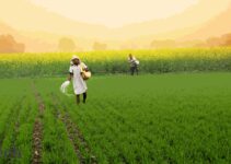 Tamil Nadu, Netherlands to sign MoU on agritech, water management, other sectors