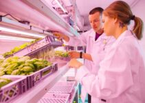 ‘There are so many different potential applications’: Indoor farming specialist pioneers ultrasonic technology to grow plants with sound