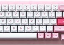 EPOMAKER AKKO ACR98 Mini 78-Key Wired Hotswap Mechanical Gaming Keyboard with Acrylic Case & RGB Backlight, Double-Shot PBT Keycaps, NKRO Programmable for Gamers/Mac/Win (Prunus Lannesiana)