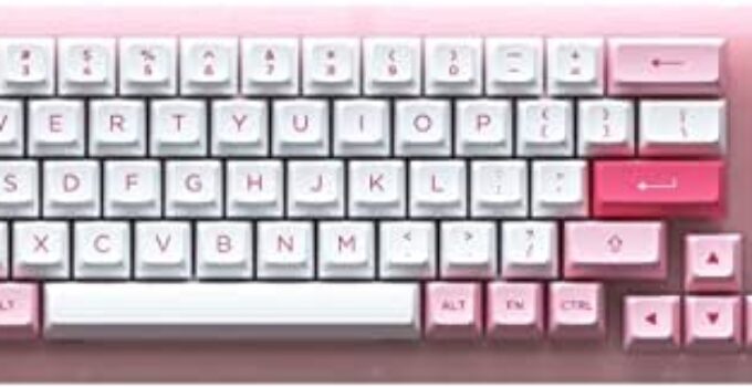 EPOMAKER AKKO ACR98 Mini 78-Key Wired Hotswap Mechanical Gaming Keyboard with Acrylic Case & RGB Backlight, Double-Shot PBT Keycaps, NKRO Programmable for Gamers/Mac/Win (Prunus Lannesiana)