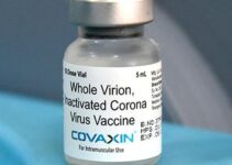 Covaxin demonstrates robust safety, immunogenicity in children aged 2–18 years: Bharat Biotech