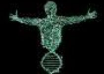 DNA nanotech safe for medical use, new study suggests