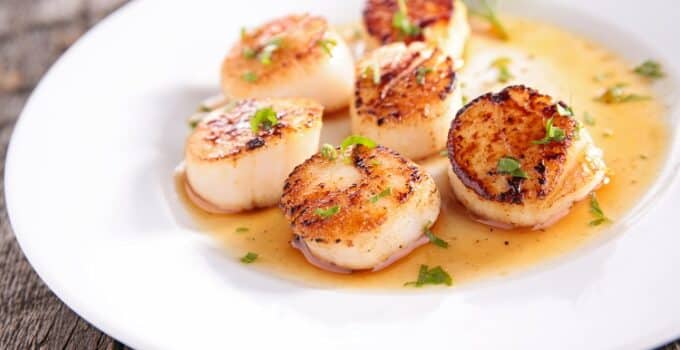 Mermade makes cell-based scallops with circular aquaponics tech: ‘Our technology is relevant for the entire cell-based meat industry’