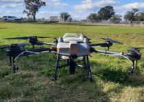 Drone technology helps farmers track feral pigs and pests