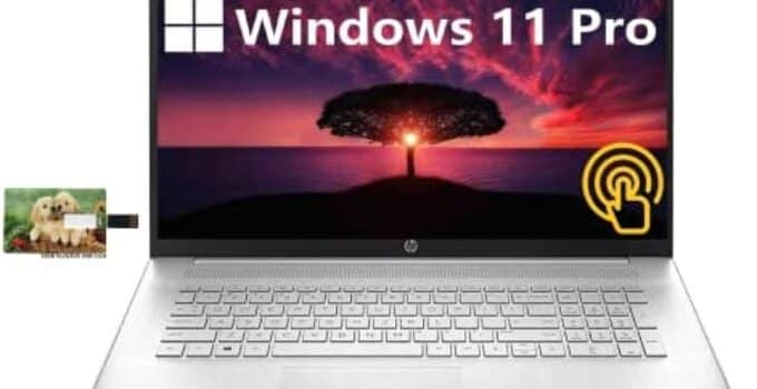 HP 17.3″ HD Touchscreen Business Laptop, 11th Gen Intel Core i7-1165G7, Windows 11 Pro, 32GB RAM, 1TB SSD, Backlit Keyboard, HDMI, WiFi 6, Webcam, Long Battery Life, 32GB Durlyfish USB Card