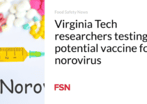 Virginia Tech researchers testing potential vaccine for norovirus