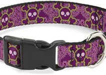 Buckle-Down Dog Collar Plastic Clip Cute Skulls Paisley Purple Pink Green Available in Adjustable Sizes for Small Medium Large Dogs