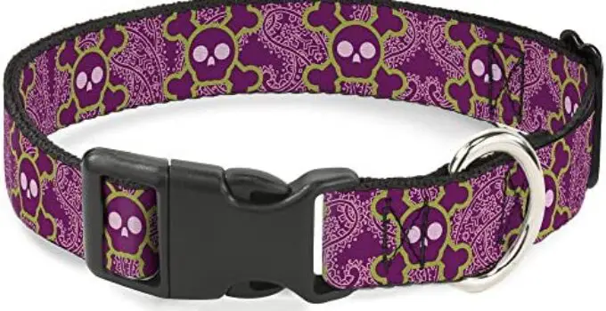 Buckle-Down Dog Collar Plastic Clip Cute Skulls Paisley Purple Pink Green Available in Adjustable Sizes for Small Medium Large Dogs