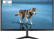 Computer Monitor, Pisichen 22 Inch PC Monitor HD 1920×1080, Monitor with HDMI & VGA Interface, 5ms, 75Hz, Brightness 250 cd/m², Computer Screen for Laptop/PS3/PS4, Built-in Speakers