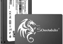 Somnambulist SSD 120GB 2.5″ 7mm(0.28″) SATA III 6Gb/s Internal Solid State Hard Drive 3D NAND Up to 520Mb/s for Laptop and Pc (120gb Black Dragon)