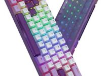Womier WK61 Purple Keyboard – 60% Mechanical Keyboard, Hot-Swappable Ultra-Compact RGB Gaming Keyboard w/Pudding Keycaps, Pro Driver/Software Supported – Red Switch