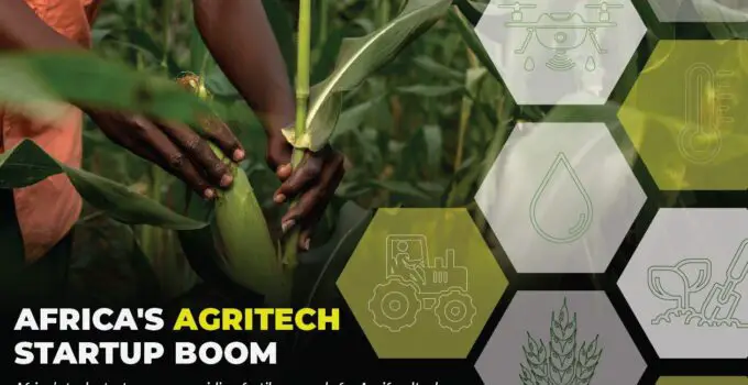 Funding for Africa’s agritech sector increased by ten-fold in five years
