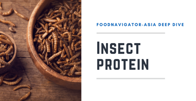 Crawling up the charts: APAC insect protein tech ahead of the curve, but market readiness still lagging