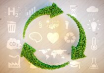 Uniting Technology and Sustainability to Drive Value