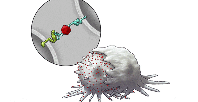 Nanotechnology Breakthrough Makes Cancer Immunotherapy More Effective Against Solid Tumors