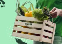 Food-tech venture Pluckk logs $5 mn revenue in Jan-Oct